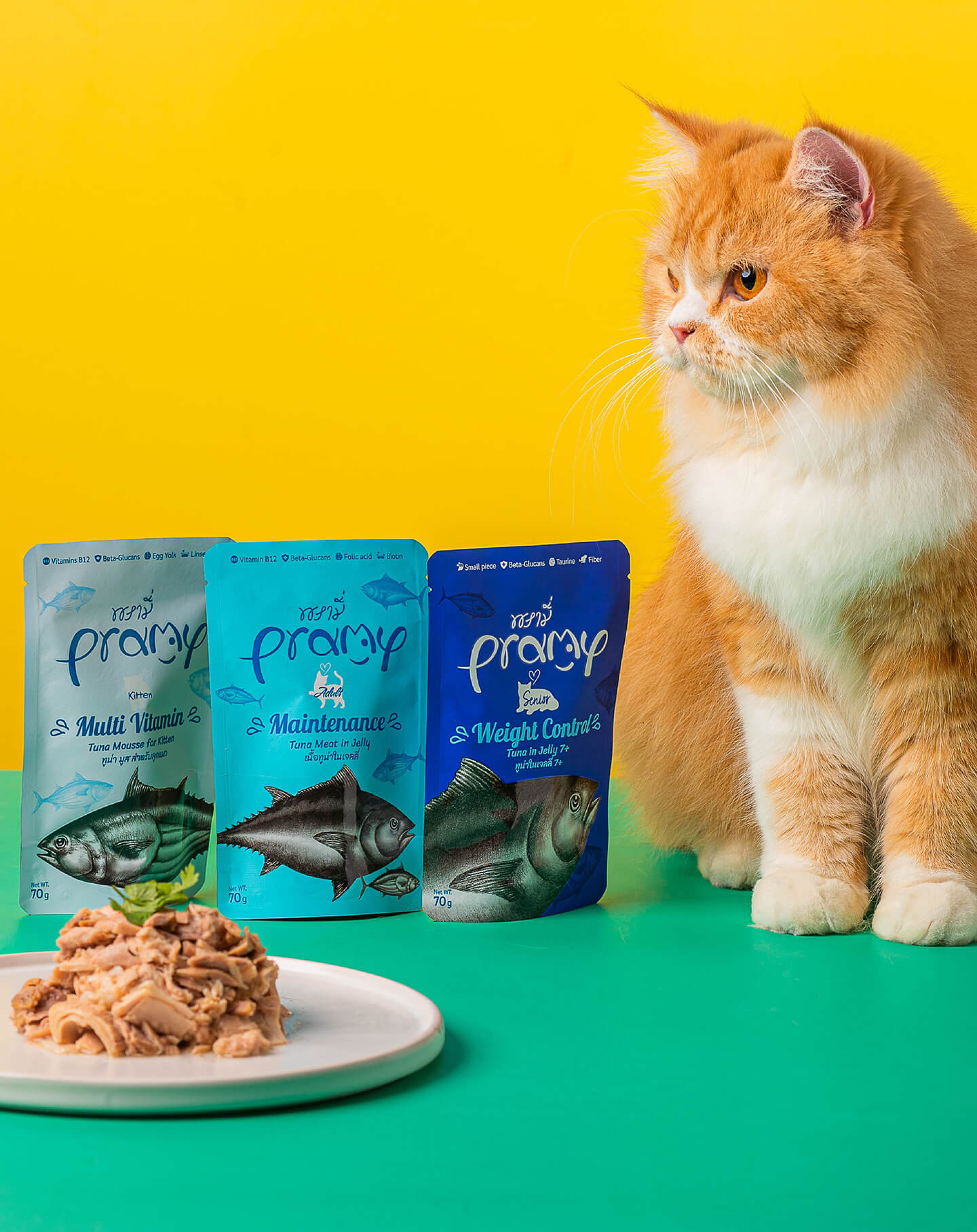 Chicken, Fish & Rice Recipe - Pramy Cat