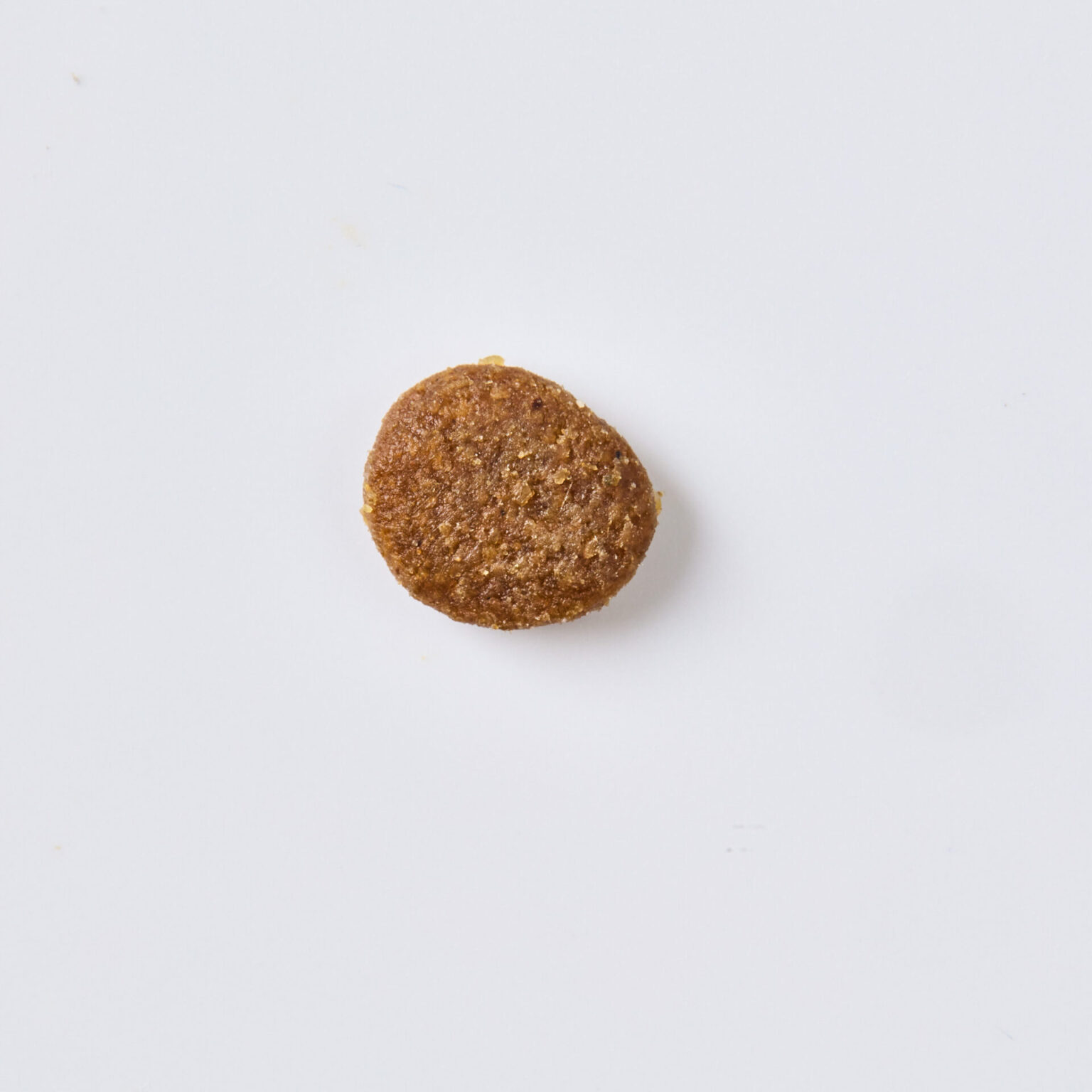 Photo inspiration: Visual Reference: Chicken Grain Free Dry Food Recipe